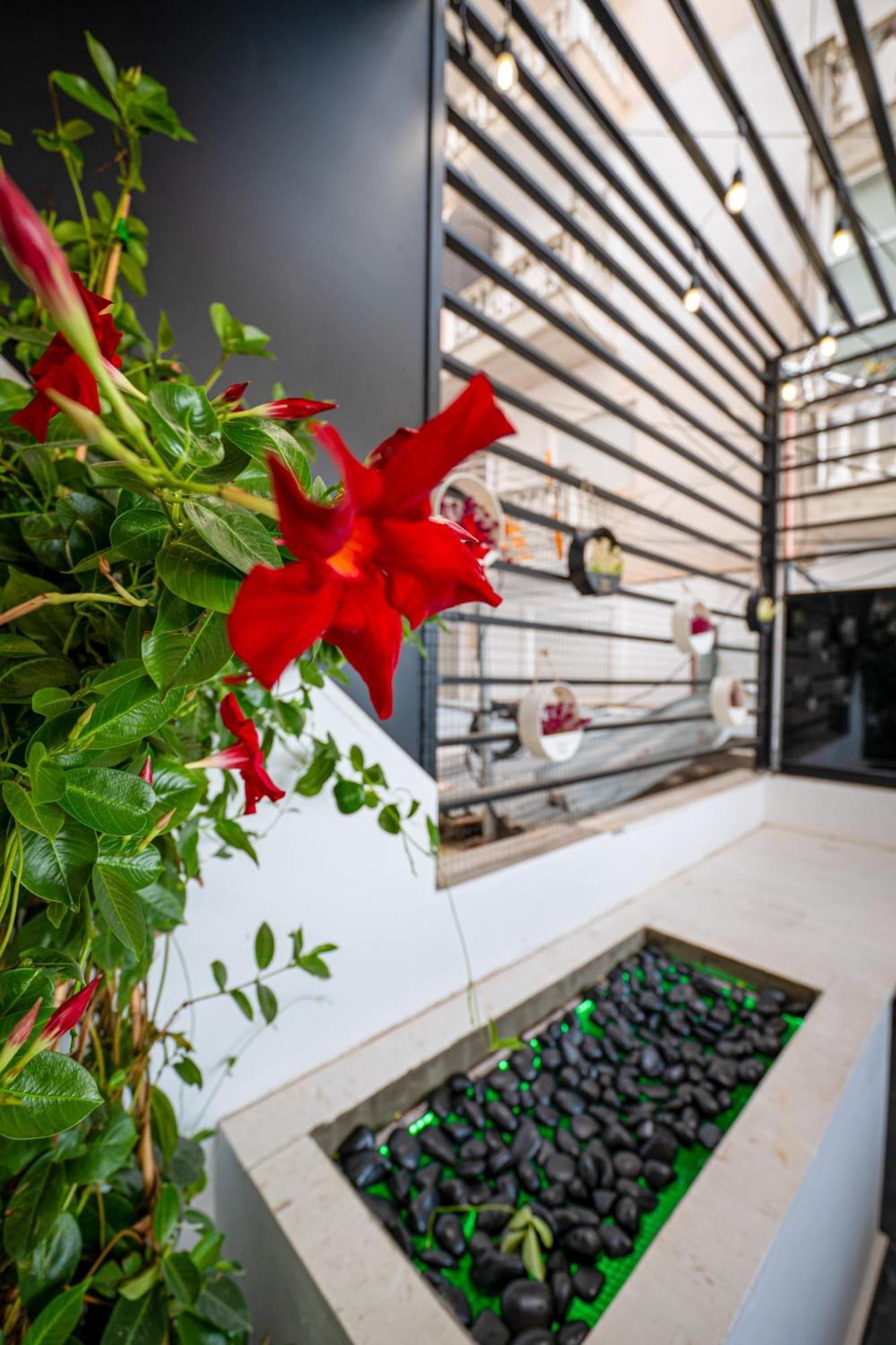 Mato Luxury Apartments Σαράντα Εξωτερικό φωτογραφία