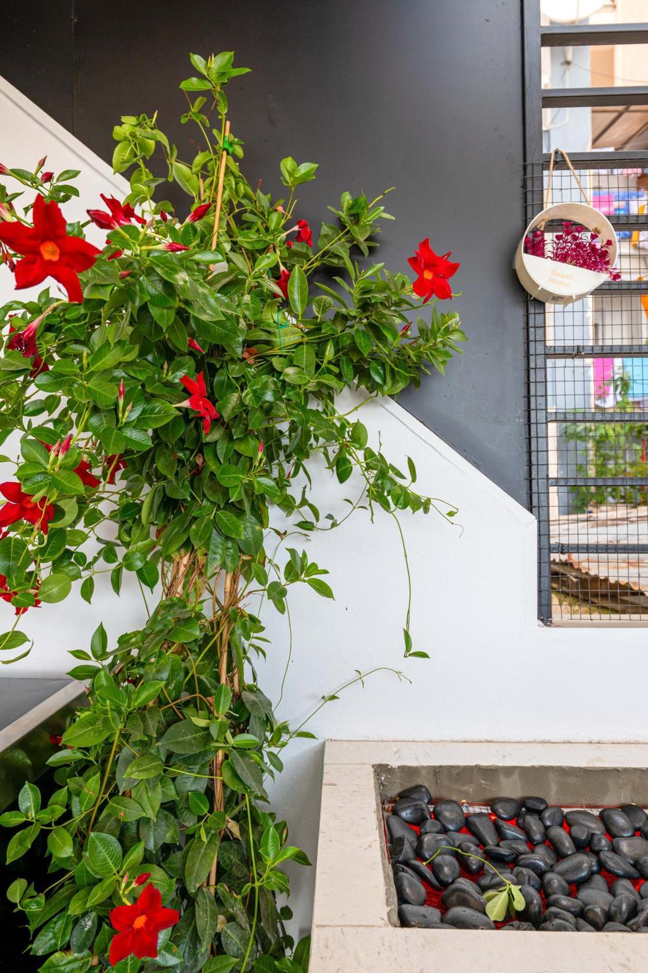Mato Luxury Apartments Σαράντα Εξωτερικό φωτογραφία